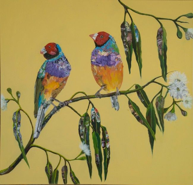 Within the leafy shade (Gouldian Finches)